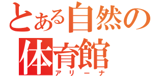 とある自然の体育館（アリーナ）