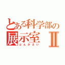 とある科学部の展示室Ⅱ（ぶんかさい）