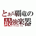 とある覇竜の最強楽器（ハウカムトルム）