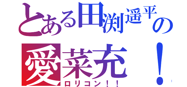 とある田渕遥平の愛菜充！！（ロリコン！！）