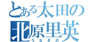 とある太田の北原里英（うなぎ犬）