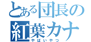 とある団長の紅葉カナタ（やばいやつ）