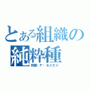 とある組織の純粋種（刹那・Ｆ・セイエイ）