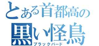 とある首都高の黒い怪鳥（ブラックバード）