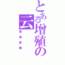 とある增殖の云（雲雀恭彌）