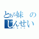 とある妹のじんせい（いもうと）