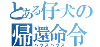 とある仔犬の帰還命令（ハウスハウス）