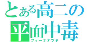 とある高二の平面中毒（フィーナテツヤ）