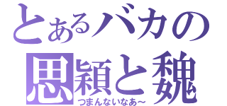 とあるバカの思穎と魏京眈（つまんないなあ～）