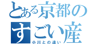 とある京都のすごい産業（小川との違い）