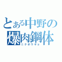 とある中野の爆肉鋼体（ニクボウギョ）