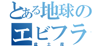 とある地球のエビフライ（盆土産）