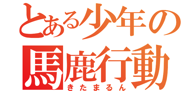 とある少年の馬鹿行動（きたまるん）