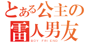 とある公主の雷人男友（ＢＯＹ ＦＲＩＥＮＤ）