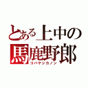 とある上中の馬鹿野郎（コバヤシカノン）