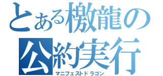 とある檄龍の公約実行龍（マニフェストドラゴン）