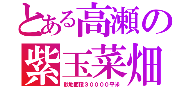 とある高瀬の紫玉菜畑（敷地面積３００００平米）