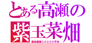 とある高瀬の紫玉菜畑（敷地面積３００００平米）