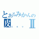 とあるみかんの皮Ⅱ（こたつ）