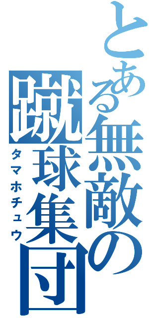 とある無敵の蹴球集団（タマホチュウ）