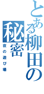 とある柳田の秘密（夜の遊び場）