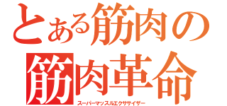 とある筋肉の筋肉革命（スーパーマッスルエクササイザー）