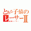 とある子猿のレーサー気取りⅡ（街道レーサー）