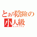 とある陰險の小人級（インデックス）