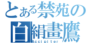 とある禁苑の白絹畫鷹（Ａｃｃｉｐｉｔｅｒ）