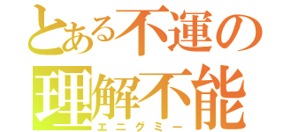 とある不運の理解不能（エニグミー）