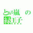 とある嵐の緑王子（相葉雅紀）