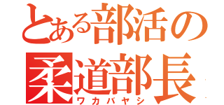 とある部活の柔道部長（ワカバヤシ）