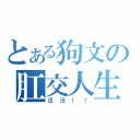 とある狗文の肛交人生（汪汪！！）