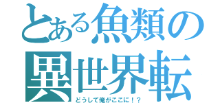 とある魚類の異世界転生（どうして俺がここに！？）