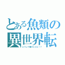 とある魚類の異世界転生（どうして俺がここに！？）