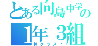 とある向島中学校の１年３組（神クラス✨）