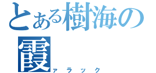 とある樹海の霞（ァラック）