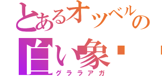 とあるオツベルの白い象🐘（グララアガ）