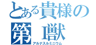 とある貴様の第Ｉ獣（アルナスルミニウム）