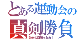 とある運動会の真剣勝負（栄光の旗勝ち取れ！）