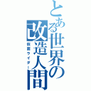 とある世界の改造人間（仮面ライダー）