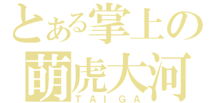 とある掌上の萌虎大河（ＴＡＩＧＡ）