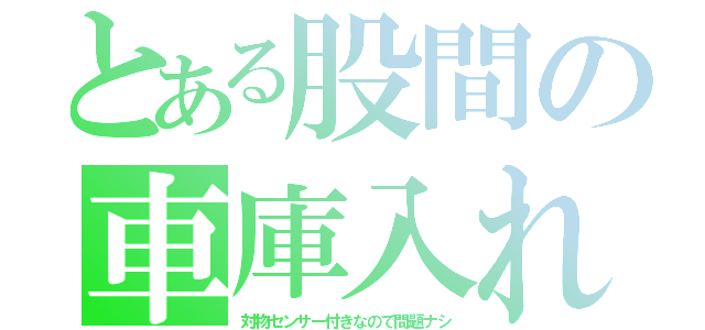 とある股間の車庫入れ（対物センサー付きなので問題ナシ）