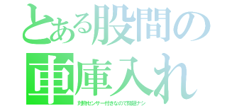 とある股間の車庫入れ（対物センサー付きなので問題ナシ）