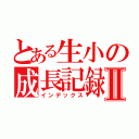 とある生小の成長記録Ⅱ（インデックス）