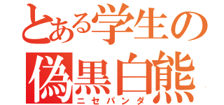 とある学生の偽黒白熊（ニセパンダ）