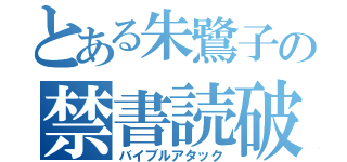 とある朱鷺子の禁書読破（バイブルアタック）