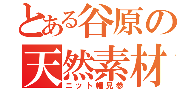 とある谷原の天然素材（ニット帽見参）