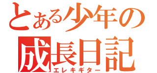 とある少年の成長日記（エレキギター）