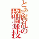 とある腐乱の格闘球技（アメフト）